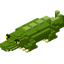 Crocodile