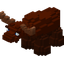Moose