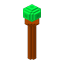 Wooden Staff, Magic look 2