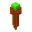 Wooden Wand, Magic look 1