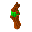 Wooden Wand, Magic look 2