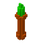 Wooden Wand, Magic look 7